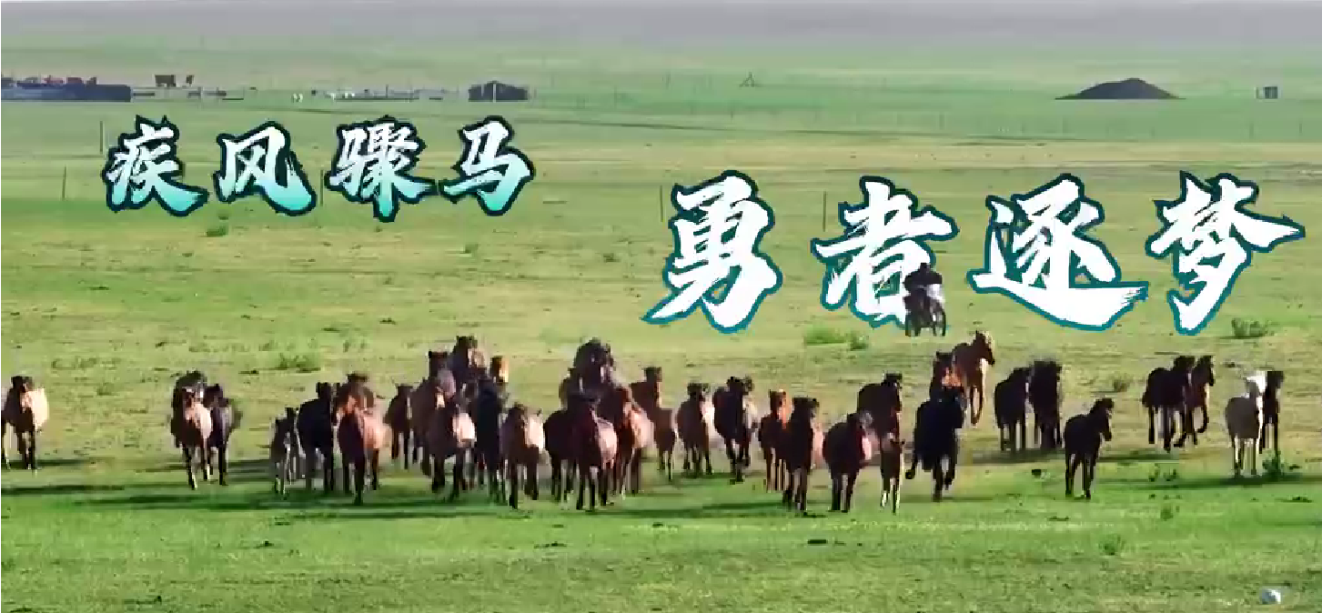 锡林浩特：疾风骤马 勇者逐梦