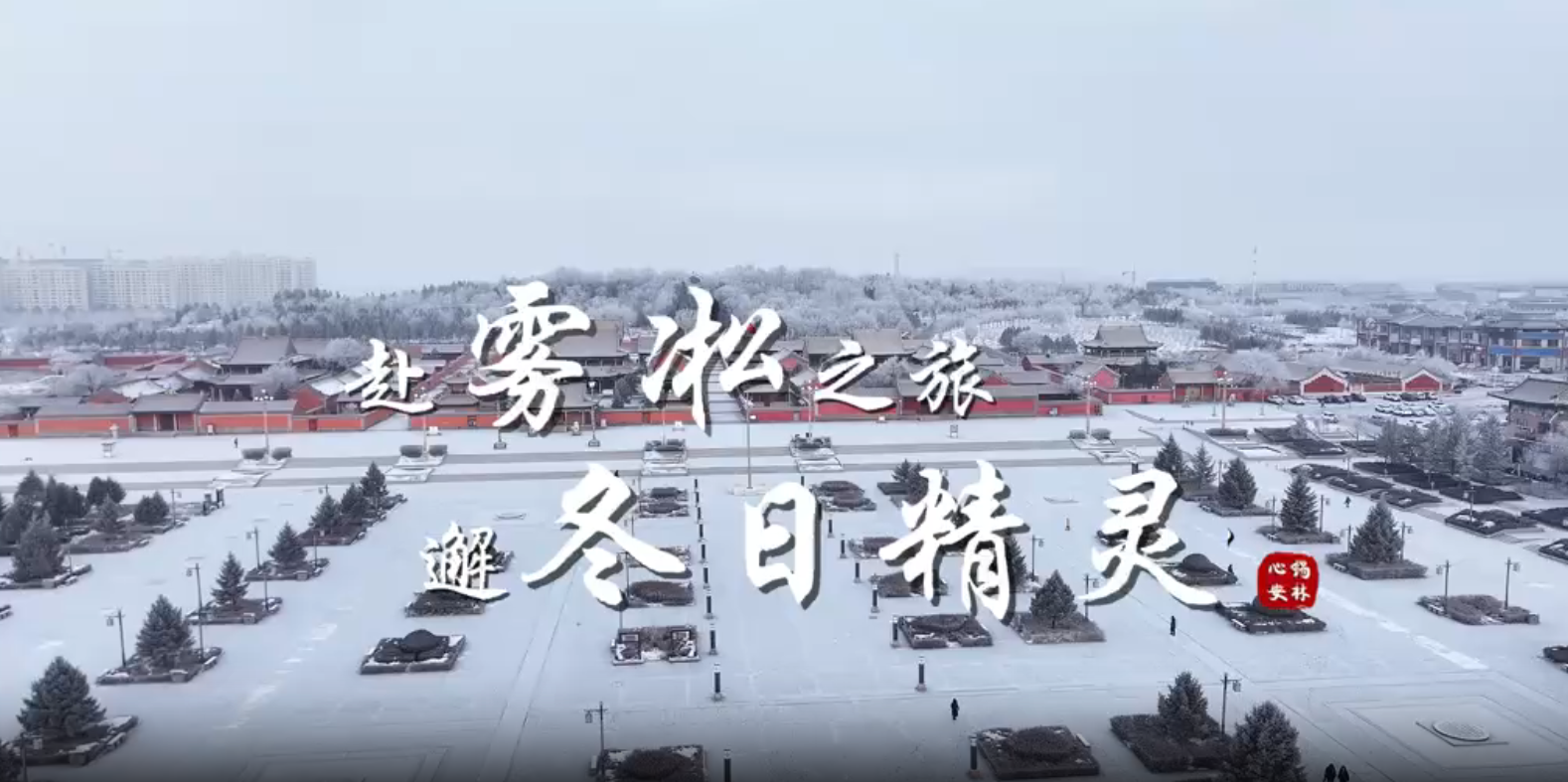 锡林浩特：赴雾凇之旅 邂冬日精灵