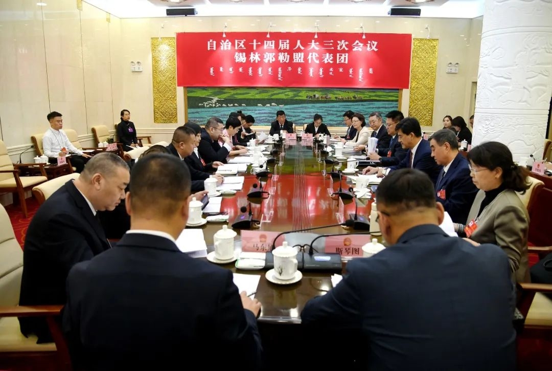 锡盟代表团审议自治区政府工作报告