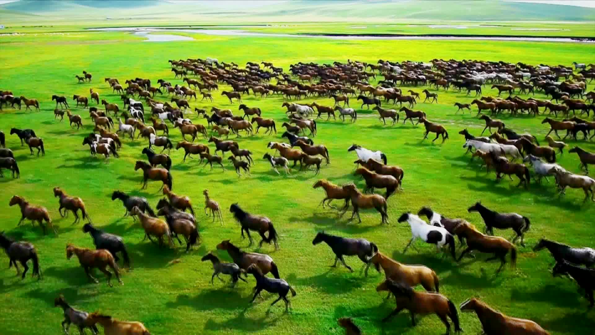 乌兰牧骑守望相助