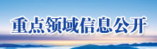 重点领域信息公开