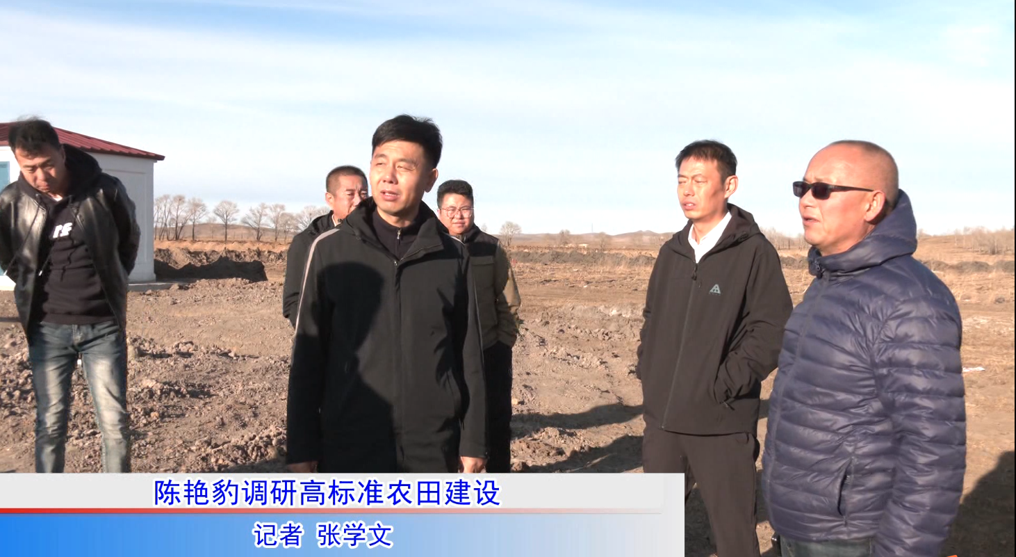 太仆寺旗委书记、政府旗长陈艳豹调研2024年高标准农田项目建设